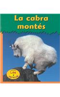 La Cabra Montés