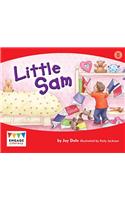 Little Sam