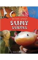 Awesome Animals: Slimy Sliders