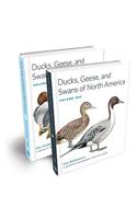 Ducks, Geese, and Swans of North America