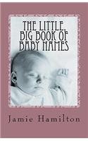 Little, Big Book of Baby Names