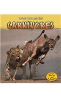 Carnivores