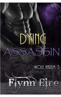 Dying Assassin