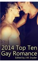 2014 Top Ten Gay Romance