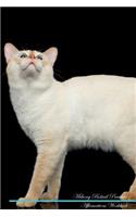 Mekong Bobtail Affirmations Workbook Mekong Bobtail Presents