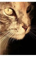 So Darling Tabby Cat in Profile Sweet Pet Journal: 150 Page Lined Notebook/Diary