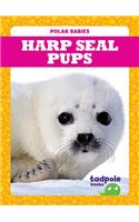 Harp Seal Pups