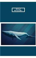 Whale notebooks