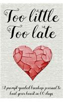 Too Little Too Late