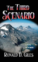 Third Scenario