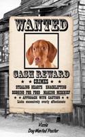 Vizsla Dog Wanted Poster