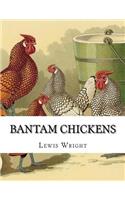 Bantam Chickens