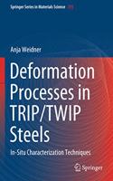 Deformation Processes in Trip/Twip Steels