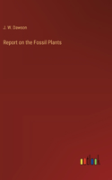 Report on the Fossil Plants