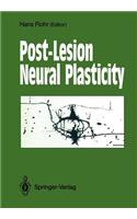 Post-Lesion Neural Plasticity