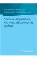 Scheitern - Organisations- Und Wirtschaftssoziologische Analysen