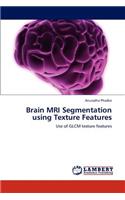 Brain MRI Segmentation using Texture Features