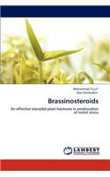 Brassinosteroids