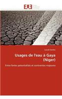 Usages de l'eau à gaya (niger)