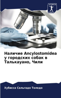 Наличие Ancylostomidea у городских собак в Талькауано, &#1