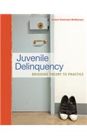 Juvenile Delinquency: Bridging Theory to Practice