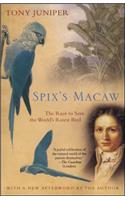 Spix's Macaw