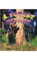 A Forest Habitat