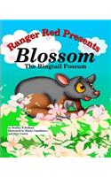 Ranger Red Presents: Blossom, the Ringtail Possum