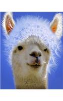 LLAMA Composition Notebook