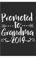 Promoted To Grandma 2019