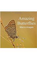 Amazing Butterflies Macro-Images 2017