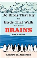 Do Birds That Fly and Birds That Walk Have Similar Brains Like Humans