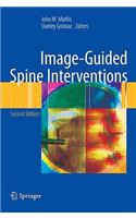 Image-Guided Spine Interventions