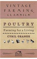 Poultry Farming For A Living