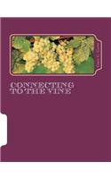 Connecting To The Vine
