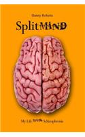 Split Mind