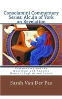 Consolamini Commentary Series