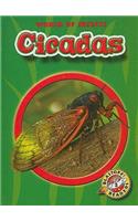 Cicadas