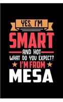 Yes, I'm Smart And Hot What Do You Except I'm From Mesa: Graph Paper Notebook with 120 pages perfect as math book, sketchbook, workbookand gift for proud Mesa patriots