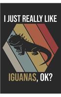 I Just Really Like Iguanas, OK?: DIN A5 Leguan Notizheft gepunktet - 120 Seiten gepunktetes Leguan Notizbuch für Notizen in Schule, Universität, Arbeit oder zuhause. - Eine tolles G