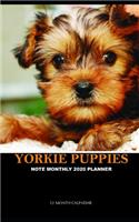 Yorkie Puppies Note Monthly 2020 Planner 12 Month Calendar
