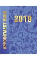 2019 Appointment Book: Hourly Planner, 365 Days, Faux Blue Marble with Gold Colored Text Design
