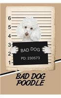 Bad Dog Poodle