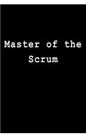Master of the Scrum