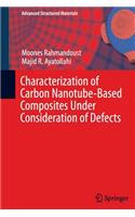 Characterization of Carbon Nanotube Based Composites Under Consideration of Defects