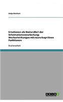 Emotionen als Bestandteil der Informationsverarbeitung