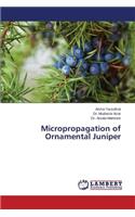 Micropropagation of Ornamental Juniper
