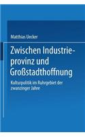 Zwischen Industrieprovinz Und Großstadthoffnung