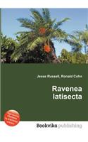 Ravenea Latisecta: (English)