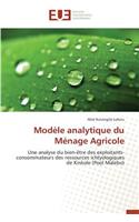 Modèle Analytique Du Ménage Agricole